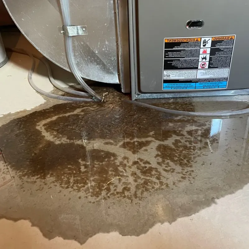 Pipe Burst and Leak Restoration in Goldens Bridge, NY